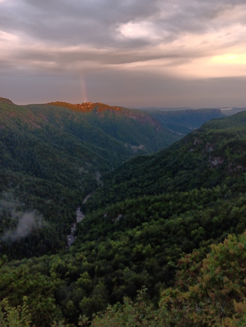 image11