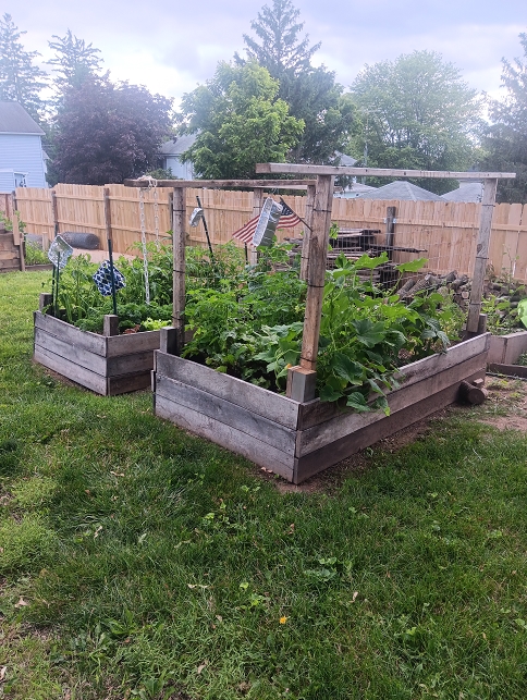 image6